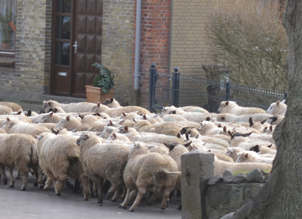 Dr&auml;ngeln am Bahnhof
