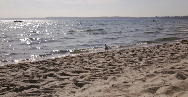 mein Blick aufs Wasser