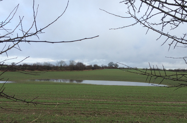 nasse Wiesen und Felder