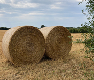 Kalenderbild