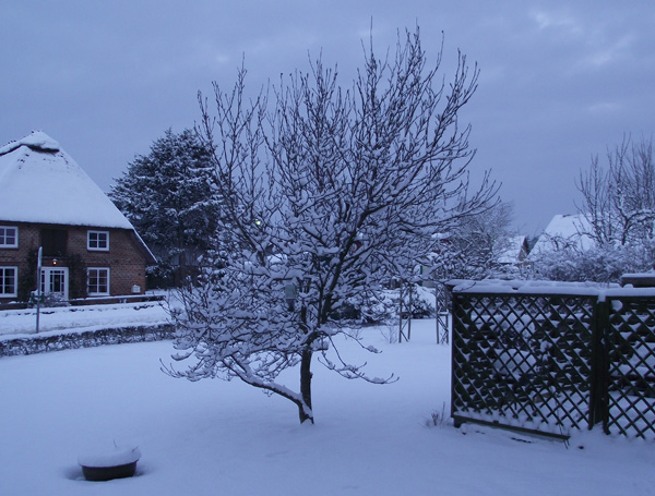 Schneefall Mitte Januar 2013